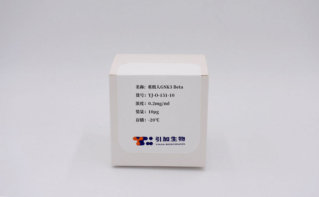 重组人GSK3 Beta