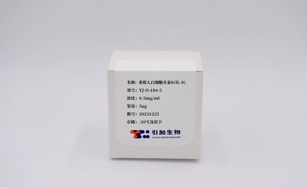 重组人白细胞介素8（IL-8）